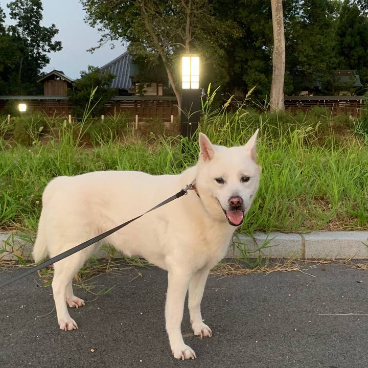 25045a8e 75cb 4e17 aee9 6b88fe5b622b 1564919469832