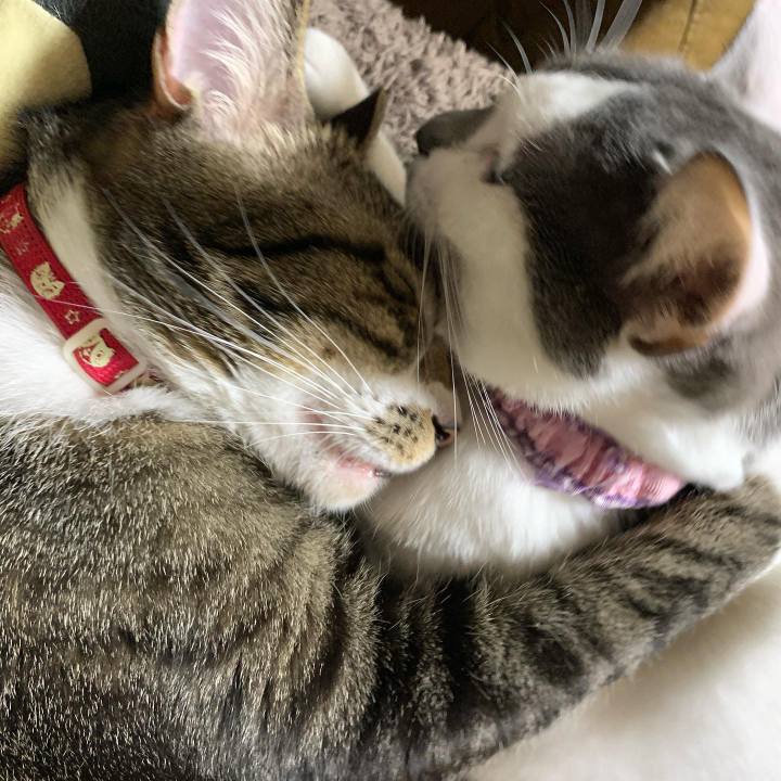 25048bde 7a74 4adf 98b8 aa7e5b6a5519 1578297125493