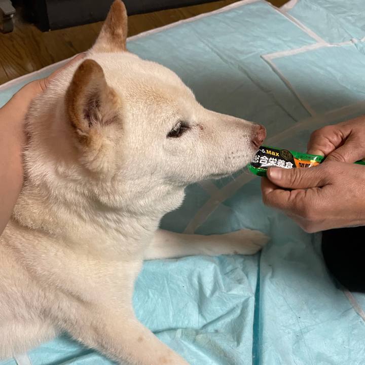 2504aec3 1f7b 4c82 9b4b f030c19f1853 1634816671535