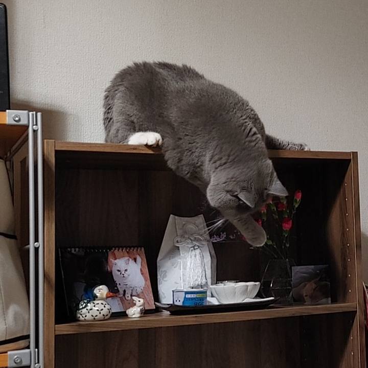 2504d609 e16a 42ba 8a9d efa65249a225 1655556264592