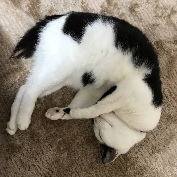 2504decd b109 47b8 a94e 69ca17479daa 1512301573594