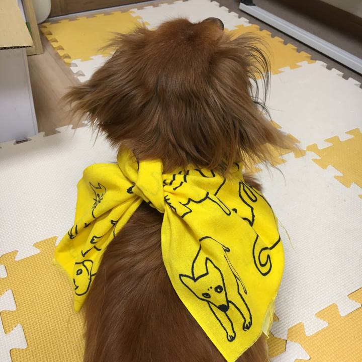 2504fc3e 9871 45f6 b766 2d2b82a226ab 1563457864864