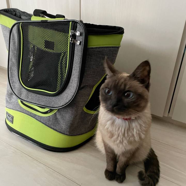 25050cc5 c1b1 4239 bbe4 c86eb2b9a990 1774739859364