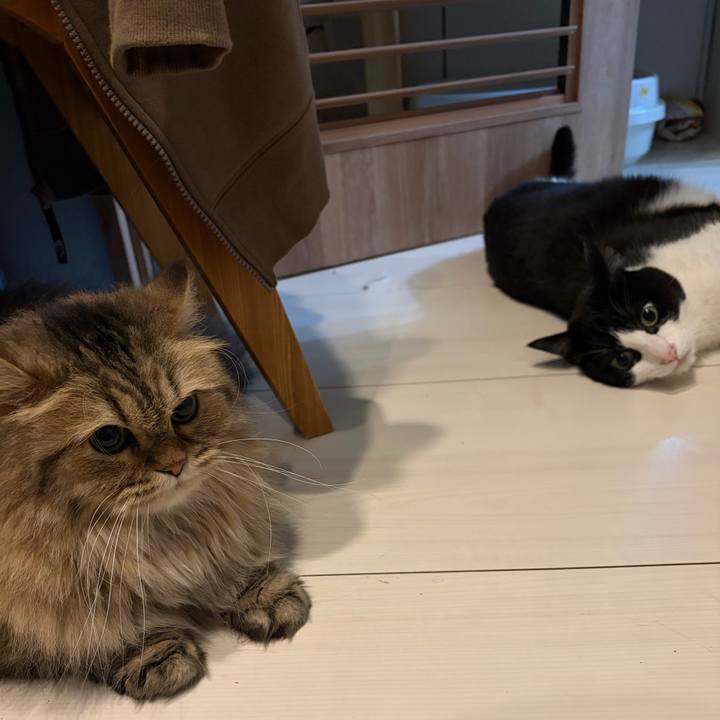 25052678 7f99 41c7 b593 5e9b77dc9c26 1774707629079