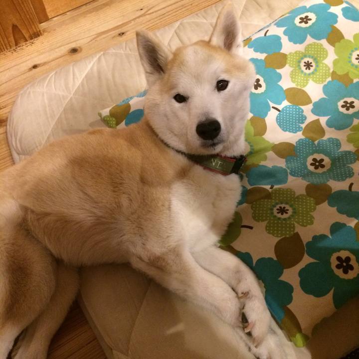 25052d4a 48da 412a 90d5 fac18219d44c 1564409419797