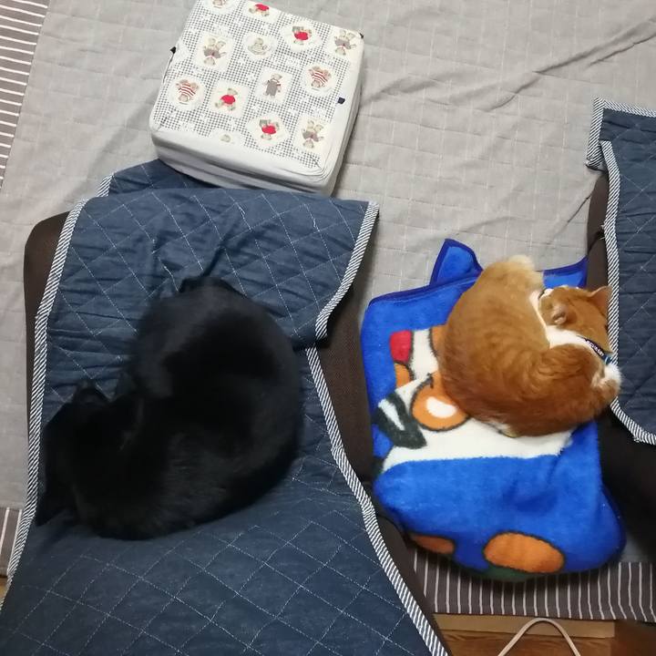 25053822 8dd6 45a3 8352 1ccf0264e83f 1606134242578