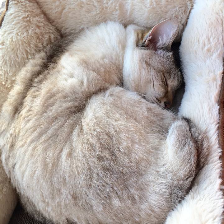 2505473f e1c0 45da 9a37 46028e9c6ece 1520321645545