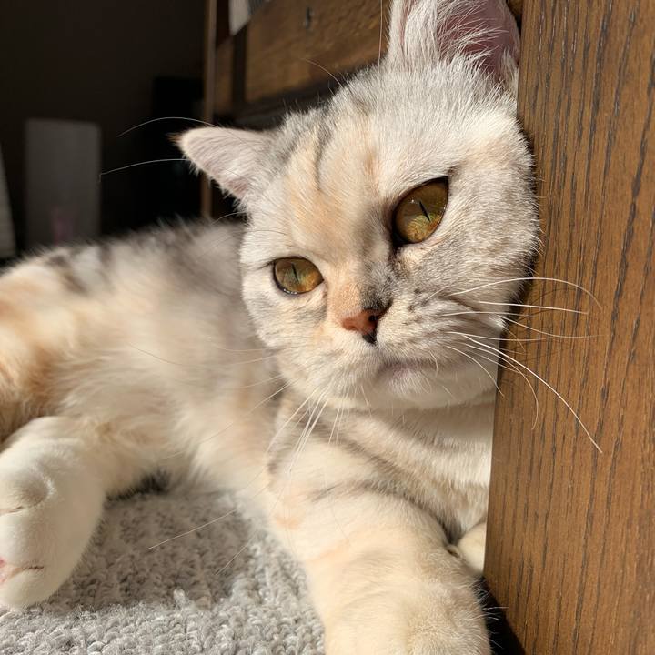 2505499b 981f 435d b040 3f69d1e10f50 1707524482903