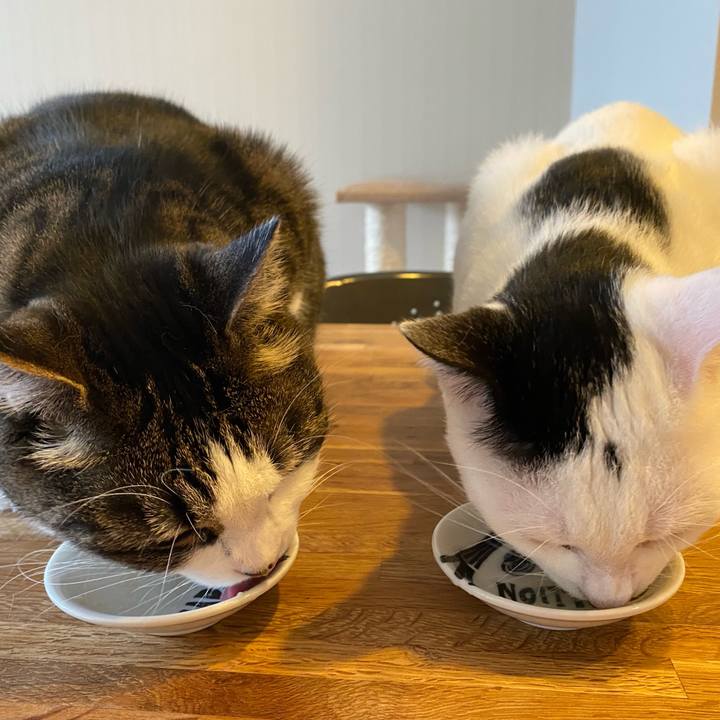 2505827e 348d 4862 bdac 634d7a5c1e8a 1692237549552