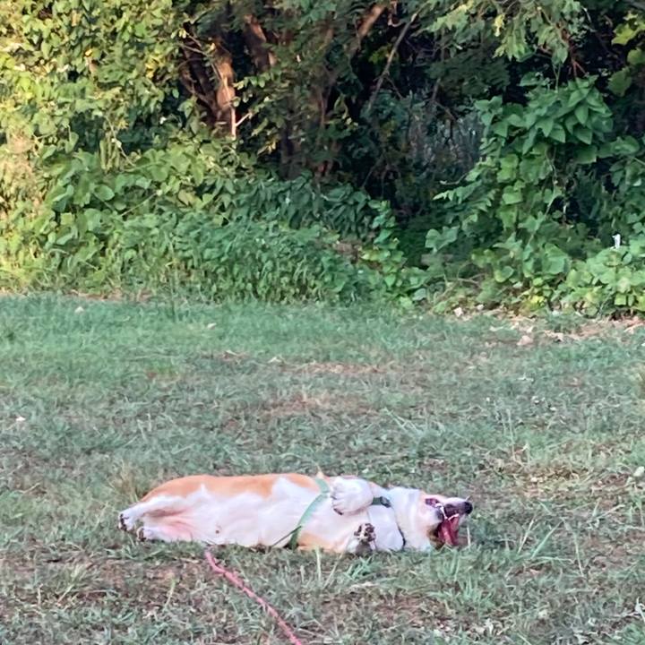 250582dd d639 4248 872b 7ac5187195a0 1754353566208