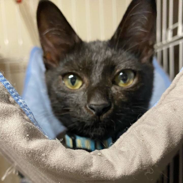 25059785 d150 40f4 8038 b806716effe8 1628502440861