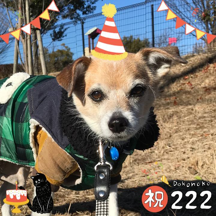 2505c9f3 9d3d 4ab4 8a85 a8e247981142 1645497125852