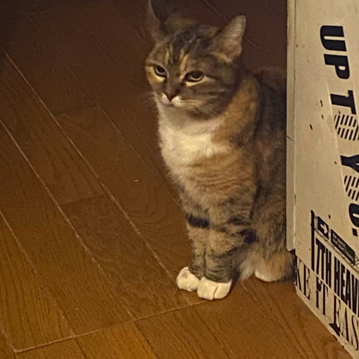 2505dad9 bf16 474f 9e0b 0693f7c0ae50 1731765536146