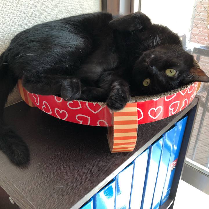 2505fb22 ffe5 412c 948e 80600be6e19b 1566007500586