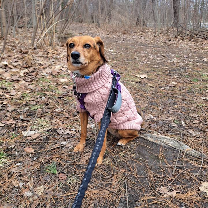 25060dc5 f229 4ea5 aa1f d7f5369a34da 1773348878882