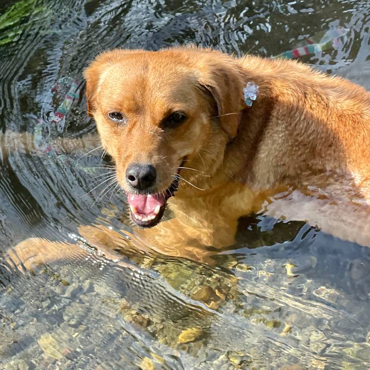 250623d2 09a2 41c7 ae98 f688eafc36f4 1626763559331