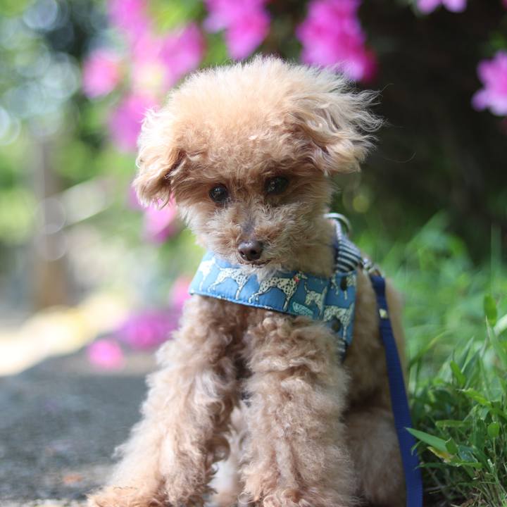 25062a77 65f0 4227 be23 6e3ee9975161 1588144873198