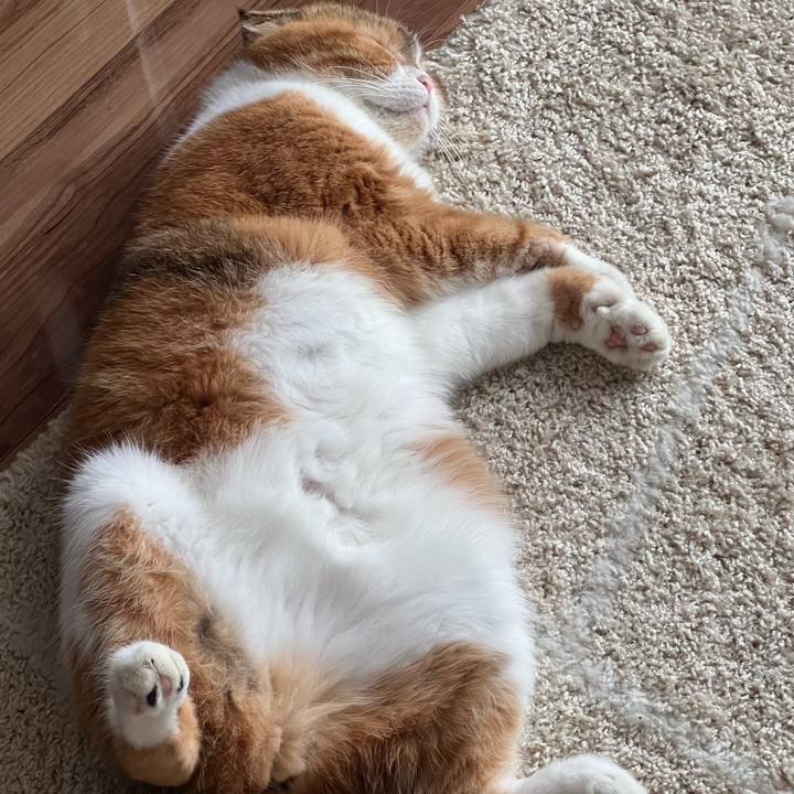 2506328b b4c3 4faa 92d8 c57eb062d822 1662264618648