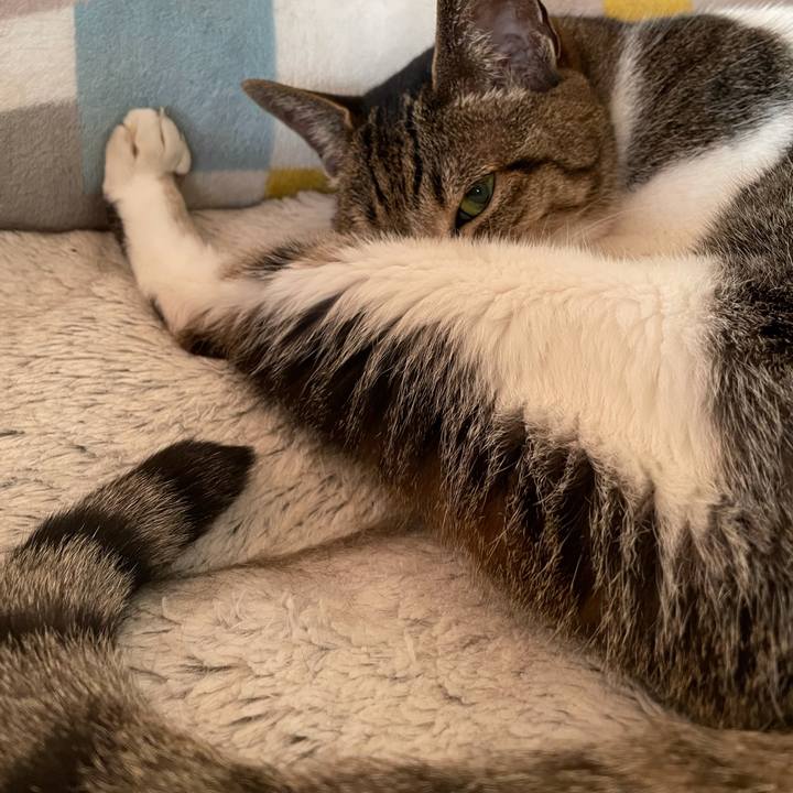 25065add 78f3 412c b61f 33b34d23a884 1624411196190