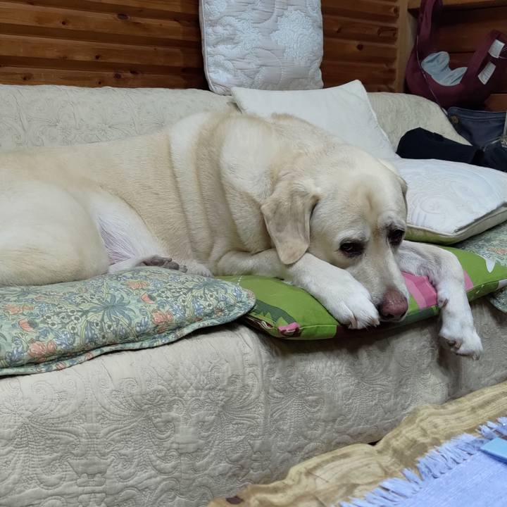 25067d97 189b 4cec a4ce 426eff354ae7 1696479235564