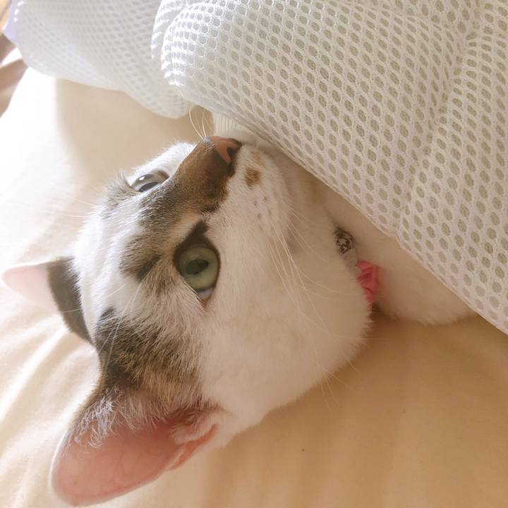 250695ad acb0 40be 9ac2 c0d638b92cba 1562158277724