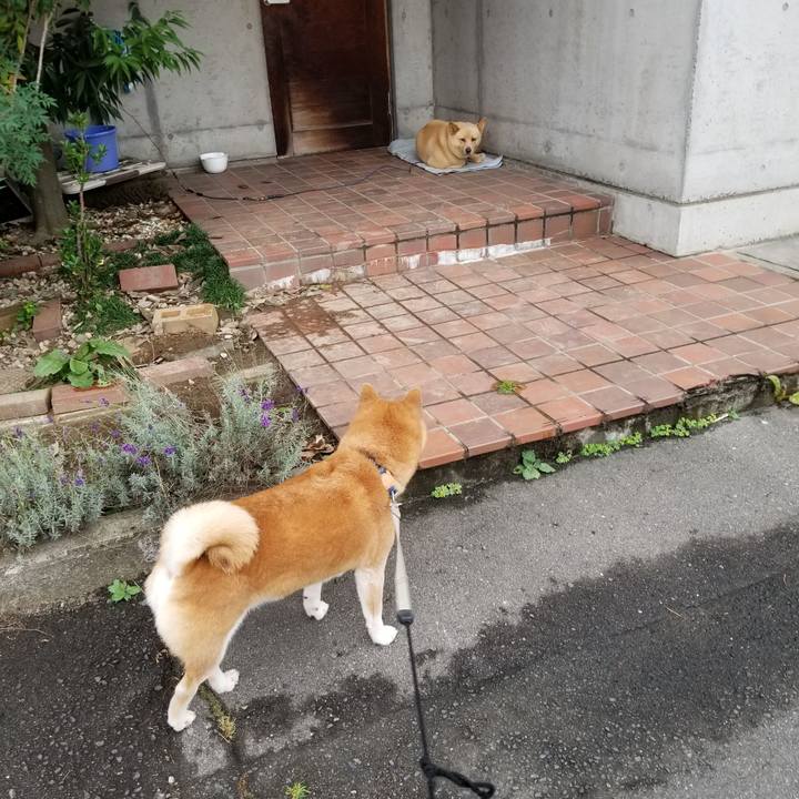 25069c0e 9da8 4d85 a172 0318bcf2712a 1568787559188