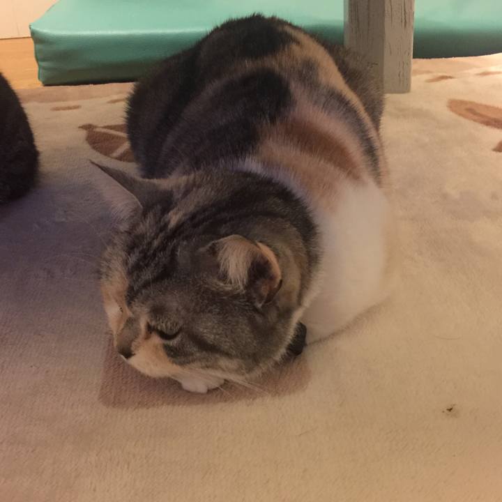 25069ee2 4e41 4784 bd77 db2fe334db71 1554986562421