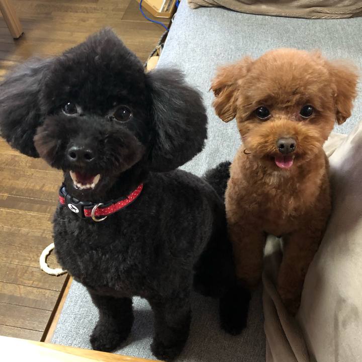 2506a8b1 94d7 46d3 9ad1 fab9216e1804 1586075550538