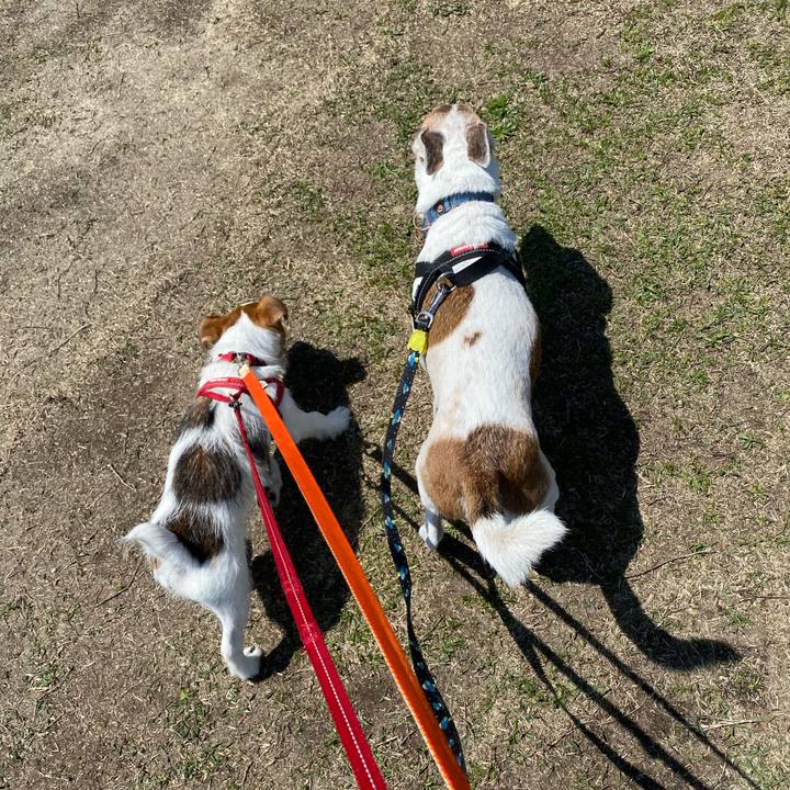 2506b191 22c7 4039 b84e 0e46e623c7f1 1618138404127