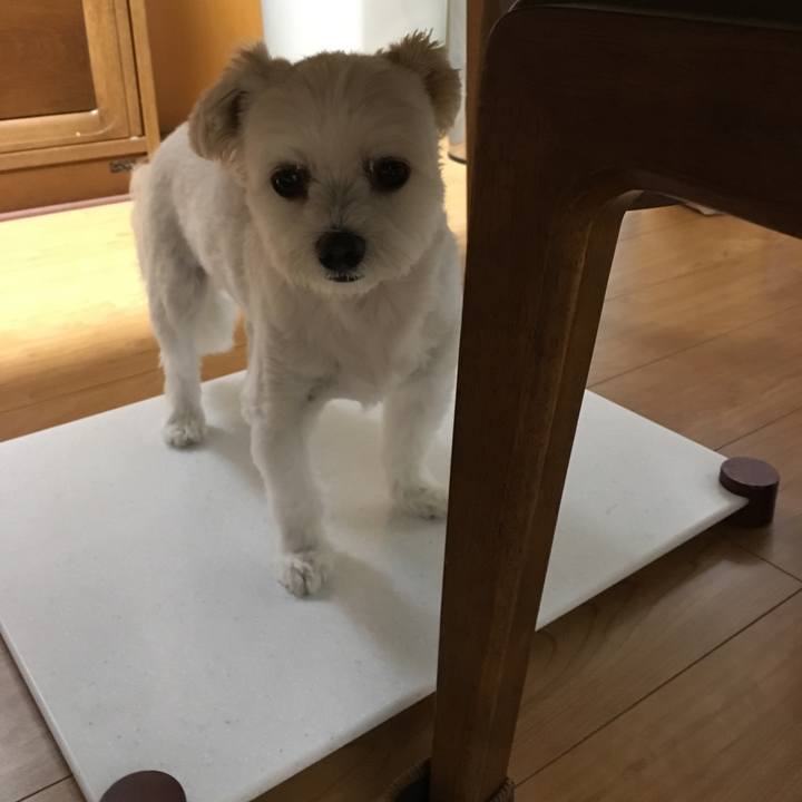 2506bcef 5a34 4cdb 9568 d245a1579aa2 1531133993774