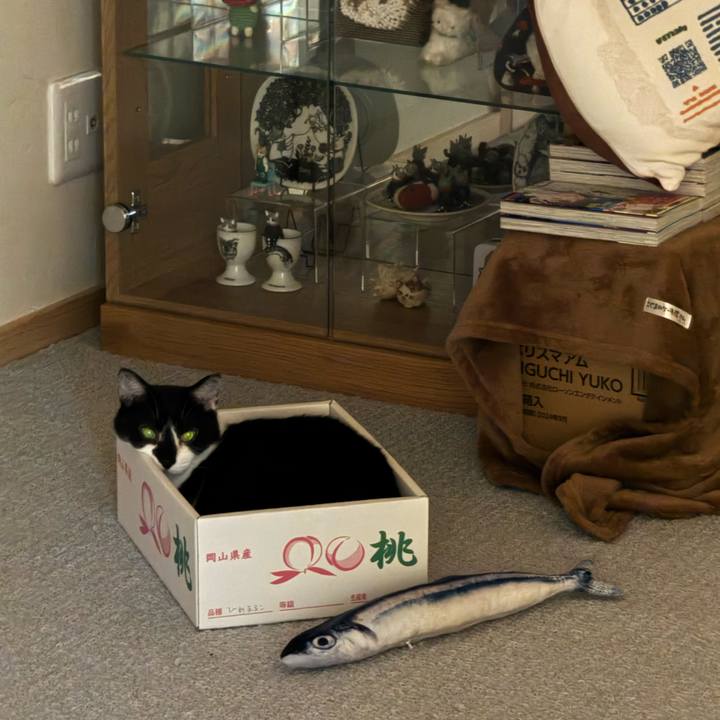 2506f037 76e0 4864 9ae7 b1f8dbd91522 1758232760647