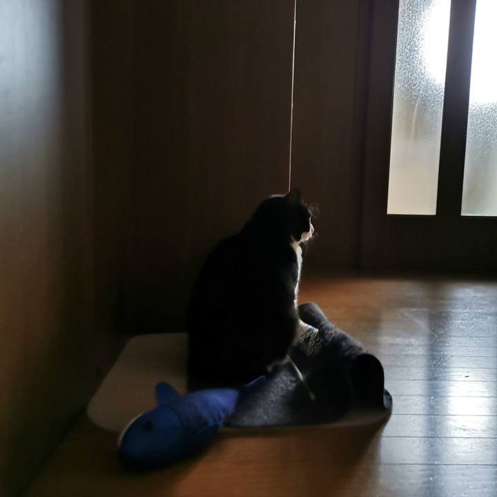 2506f772 7b8c 48a5 a496 7d5ed81146ba 1643686411813