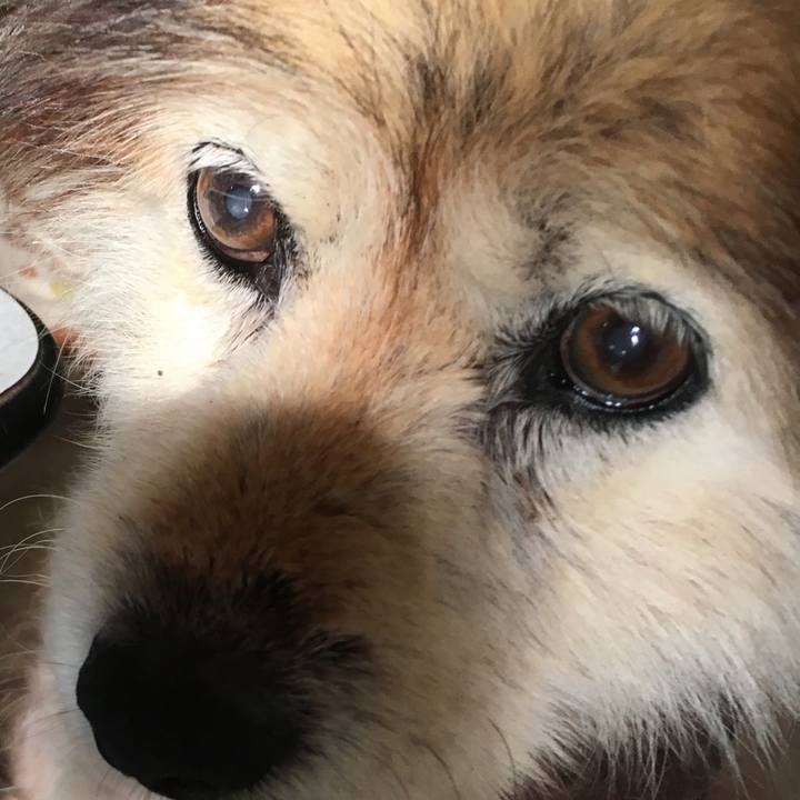 25071e12 d3dc 4da8 96df 6d8a07d4fc87 1628385881450