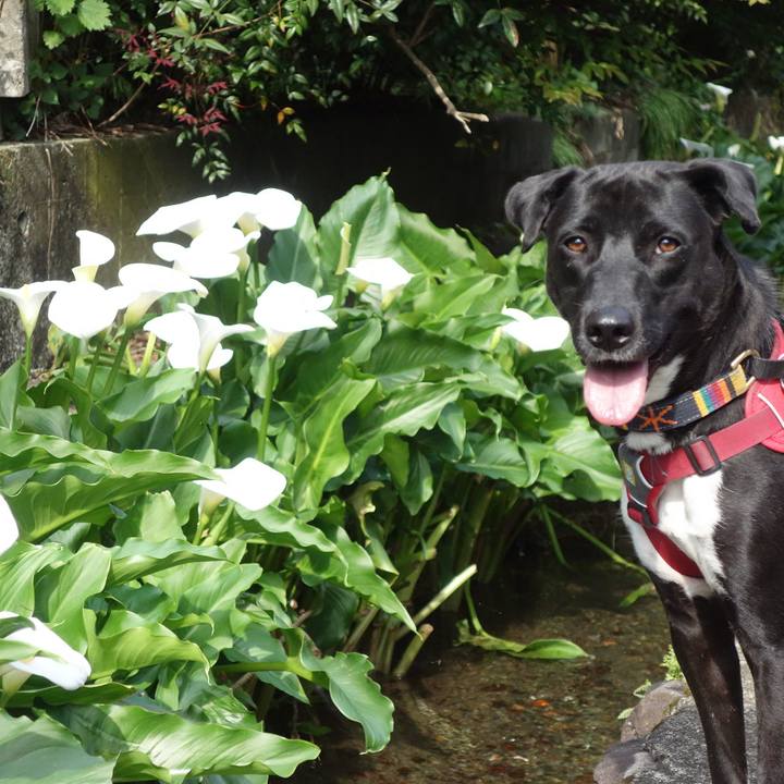 2507240b 8ef7 4d52 87e0 f1a4f1797f45 1588294630142