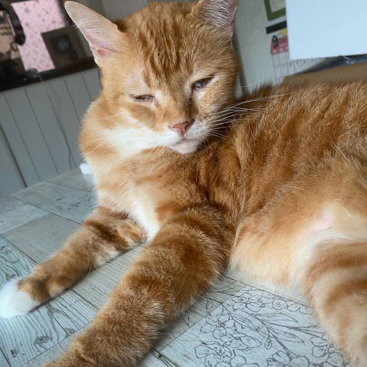 25073799 4642 4788 bddb 9d3364faea4c 1599352457776