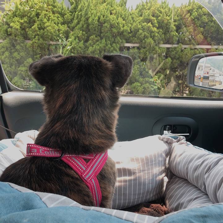 25073e45 dc50 45e3 950d b201b3933dc8 1654334883079