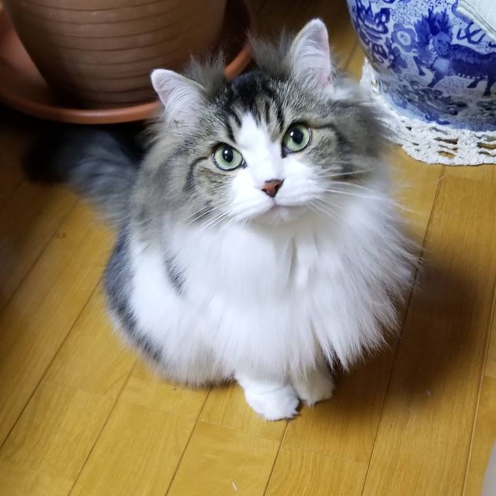 2507435c 02a8 478a a3ff ed4590241e94 1550810904151