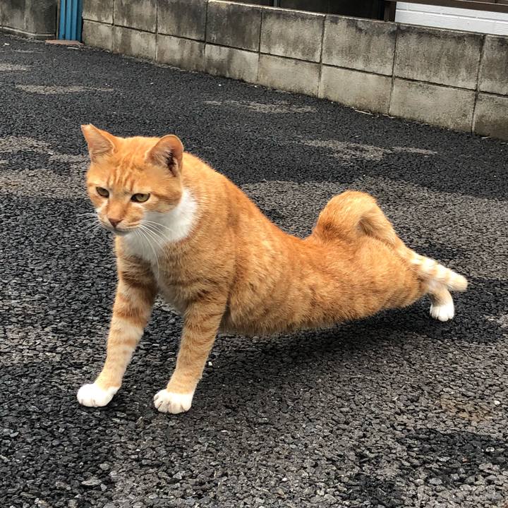 2507598f 208e 40eb 90a8 91bb4d78d9b8 1539321481761