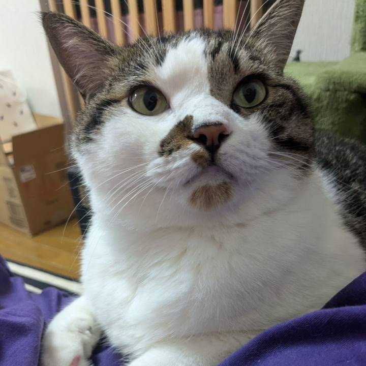 25075f5d fc8c 41e3 a9ce c08a31add52b 1722574074019