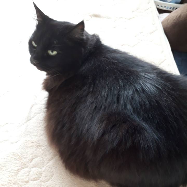 25076976 14b3 4b48 9d20 61895f666339 1519173850983