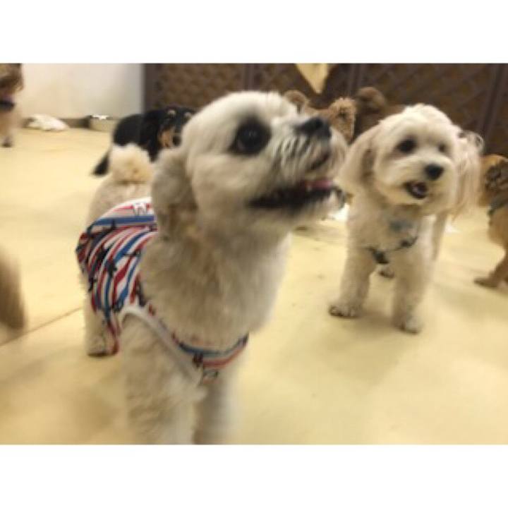 25079586 356e 4c79 a4db 6f658522de52 1537266357451