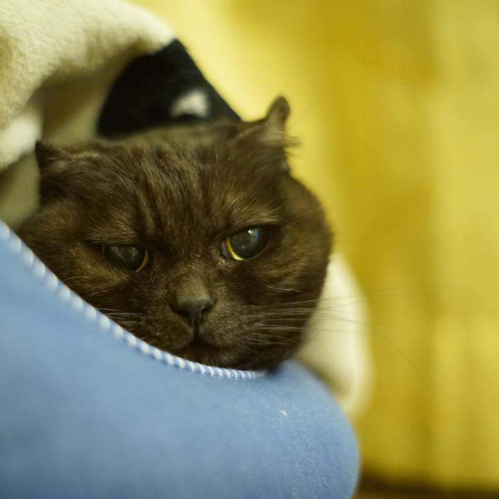 2507f46c 7163 4137 b6f9 b41a6f5b0f2d 1644756285261