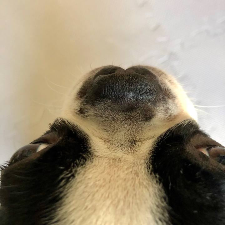 2508753e 3755 4434 968e fe4765e9de52 1579929083884