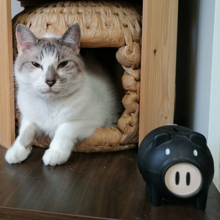 25087f51 d846 44ac 9f15 3361a169d807 1534732432859