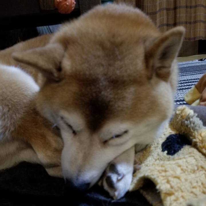 25088b8a ba03 4c25 9b31 e98fdcdc3ac6 1635249288140