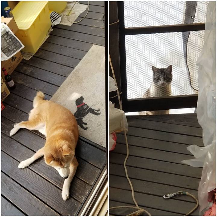 250898d7 7a96 4639 8171 5eca27a0265c 1739752395588