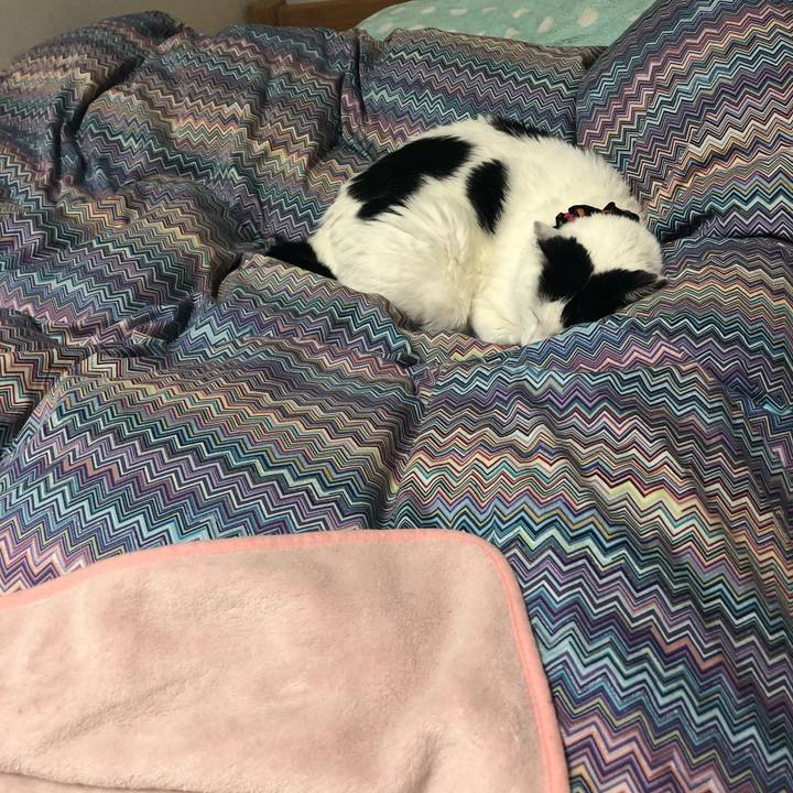 25091728 49f0 4918 b486 edf98e1709de 1547298476729