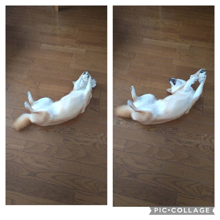 2509196c 6767 4dd1 bb21 ea90478af066 1716416078989