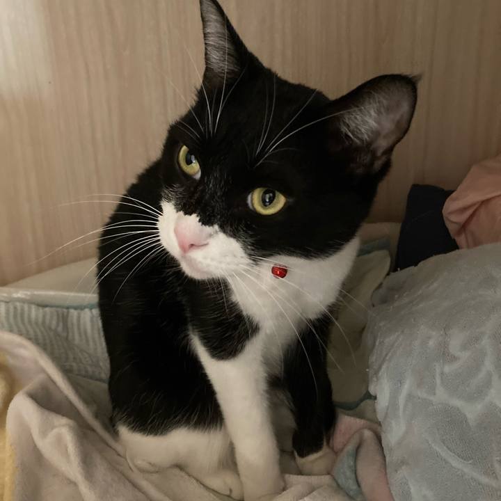 25091ce5 f465 4fa7 a86d 50e2dd70b23b 1639171527201