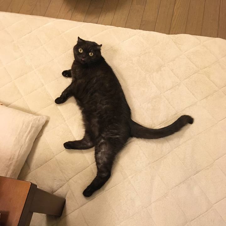 25096727 bd88 4163 93fa d376b72858eb 1512649165888